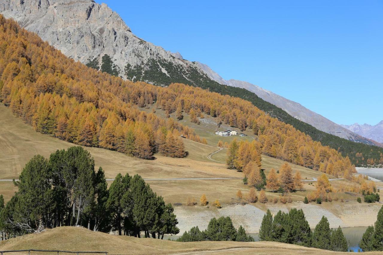 Apartmán Casa Colturi Valdisotto Exteriér fotografie